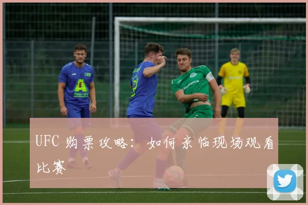 UFC 购票攻略:如何亲临现场观看比赛