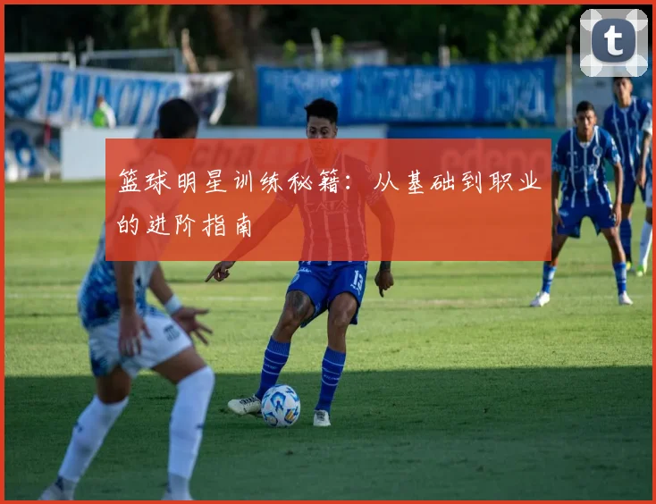 篮球明星训练秘籍:从基础到职业的进阶指南