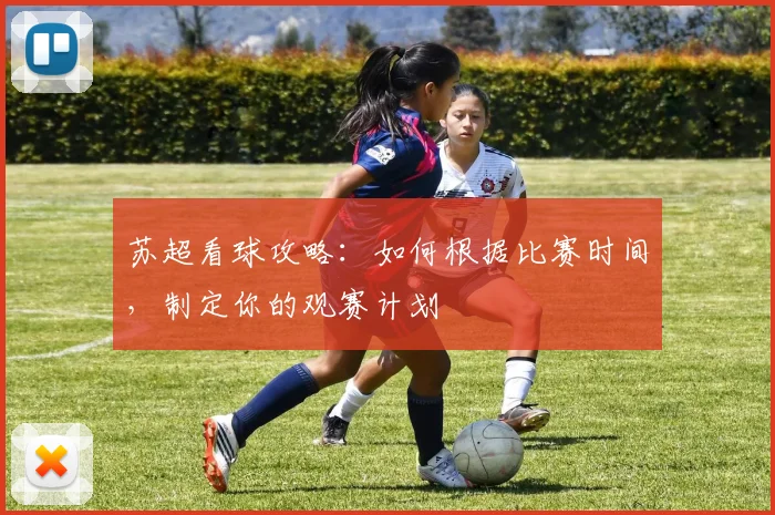 苏超看球攻略:如何根据比赛时间,制定你的观赛计划